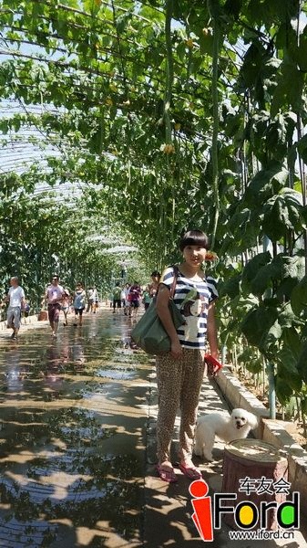 DSC03984_С.JPG