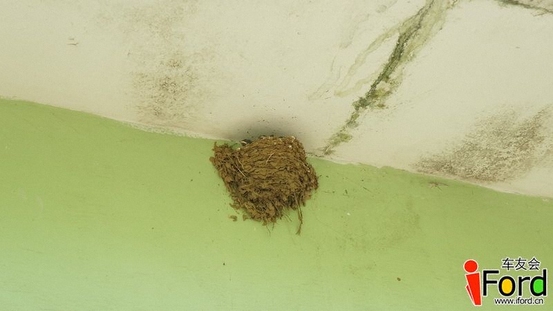 DSC03992_С.JPG