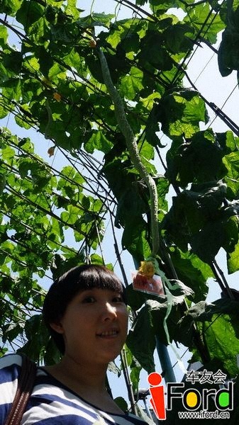DSC03991_С.JPG