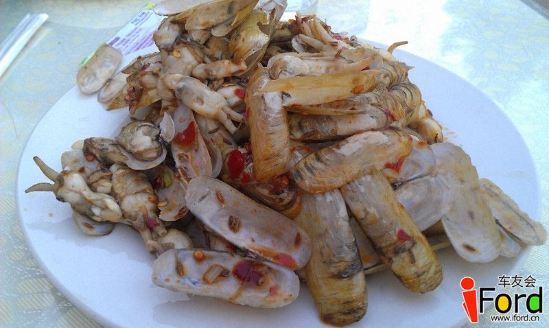 IMAG2552_副本.jpg