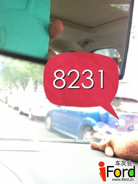 8231.JPG
