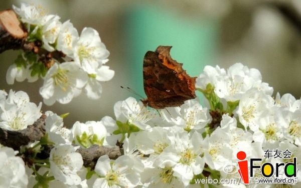 719c3175gw1eeww1d3zomj20m80dwdjp.jpg
