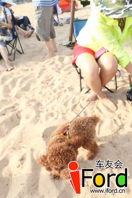25小泰迪小泰迪 (1).JPG
