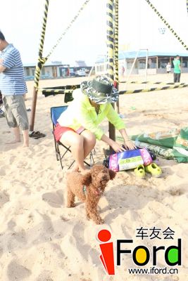 25小泰迪小泰迪 (2).JPG