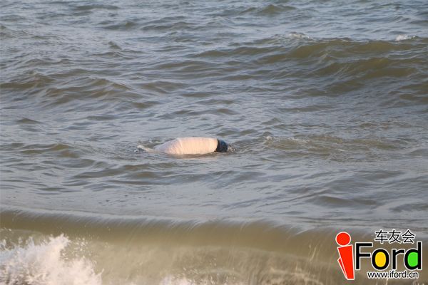 40海面惊现浮尸一具.JPG