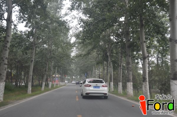 爱福特车友会新蒙迪欧上市一周年活动1173.jpg