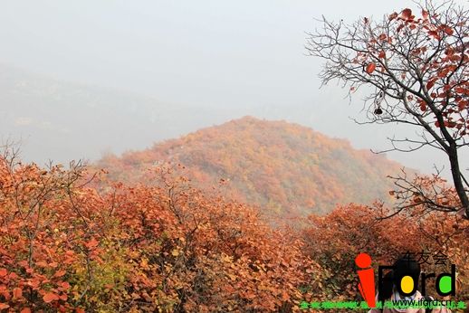 IMG_0672 - 副本.jpg
