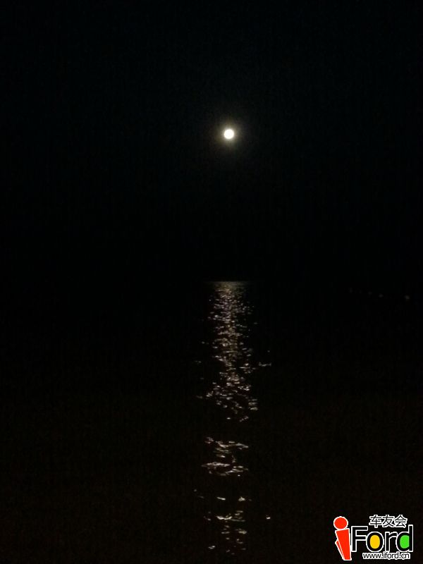 �˳�ҹ������