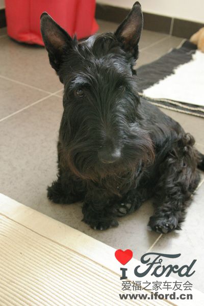 ��Ҳ���װ��ϵС����