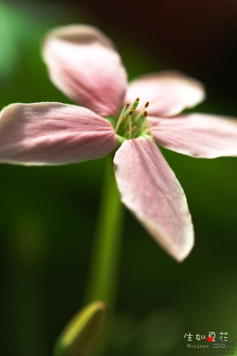 nEO_IMG_DSC_6995.jpg