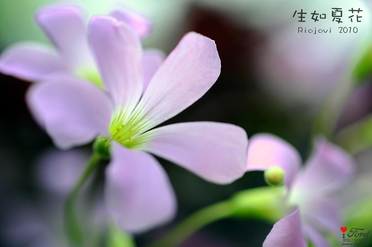 nEO_IMG_DSC_6998.jpg