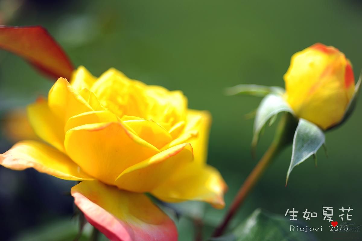 nEO_IMG_DSC_6963.jpg