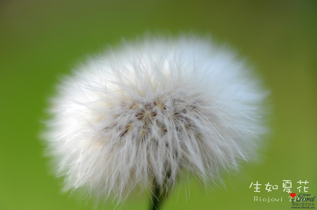 nEO_IMG_DSC_7074.jpg
