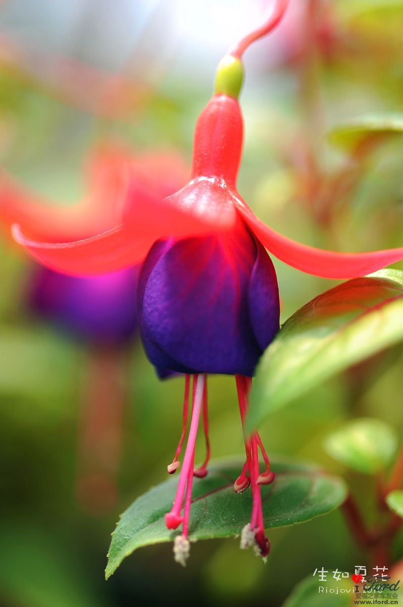 nEO_IMG_DSC_7047.jpg