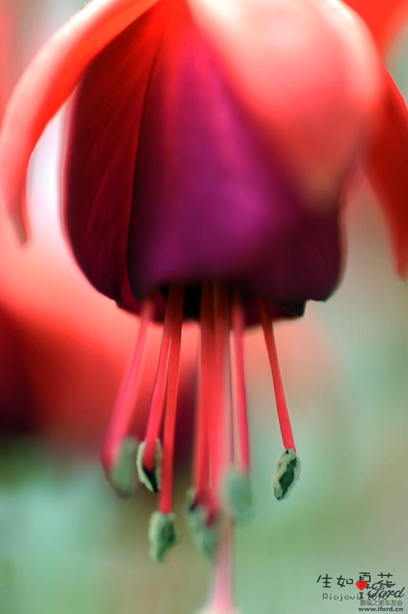 nEO_IMG_DSC_7052.jpg