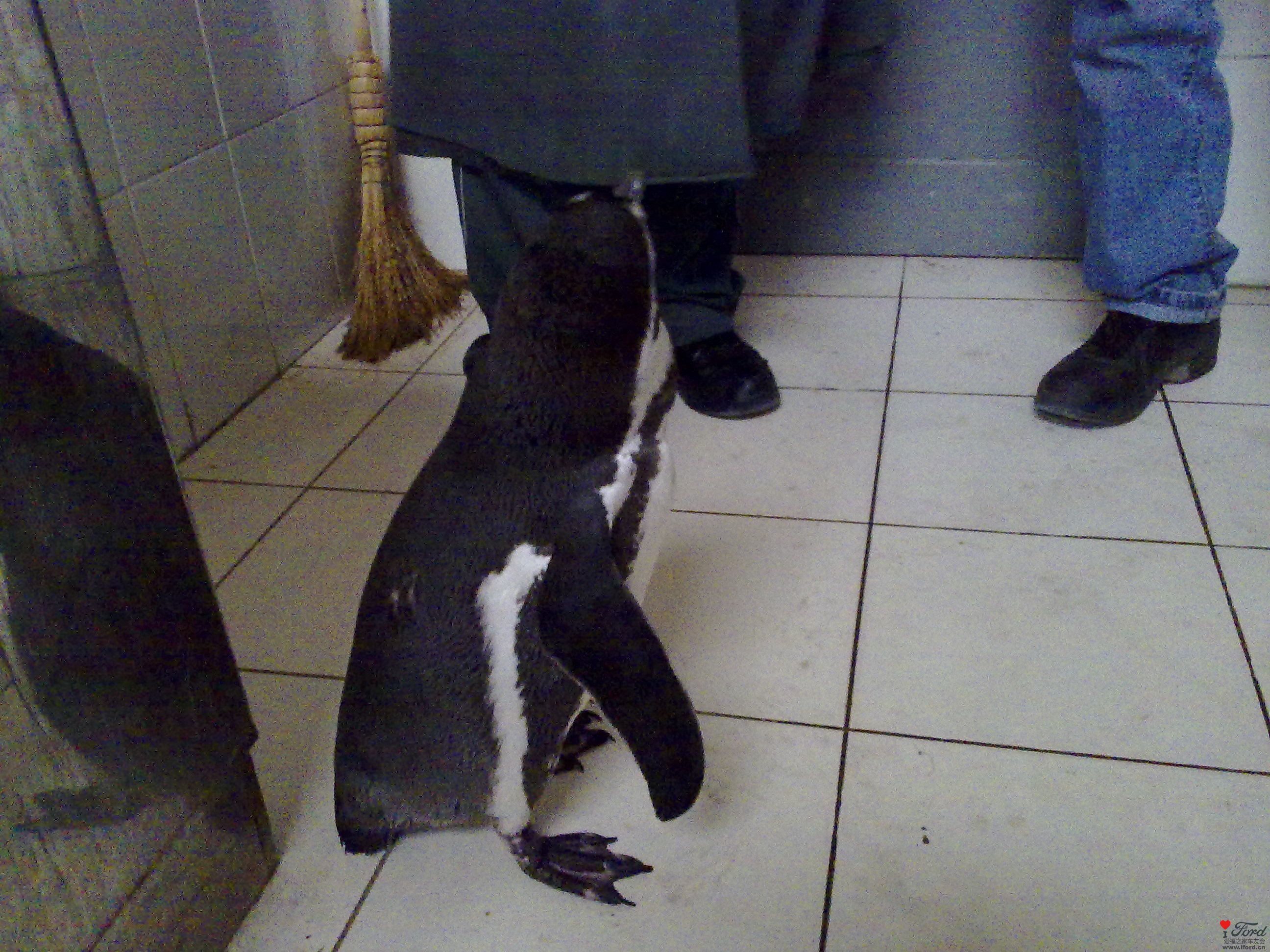 ���ÿ���