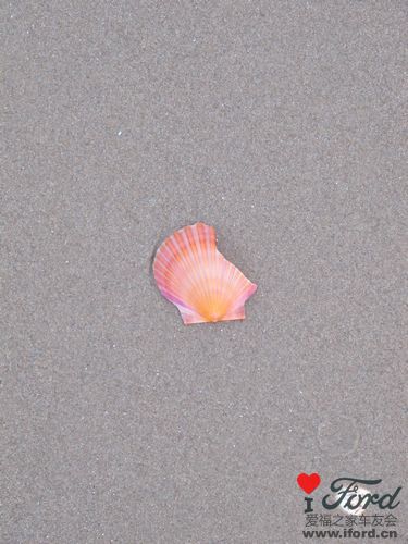 Ƭ 071.jpg