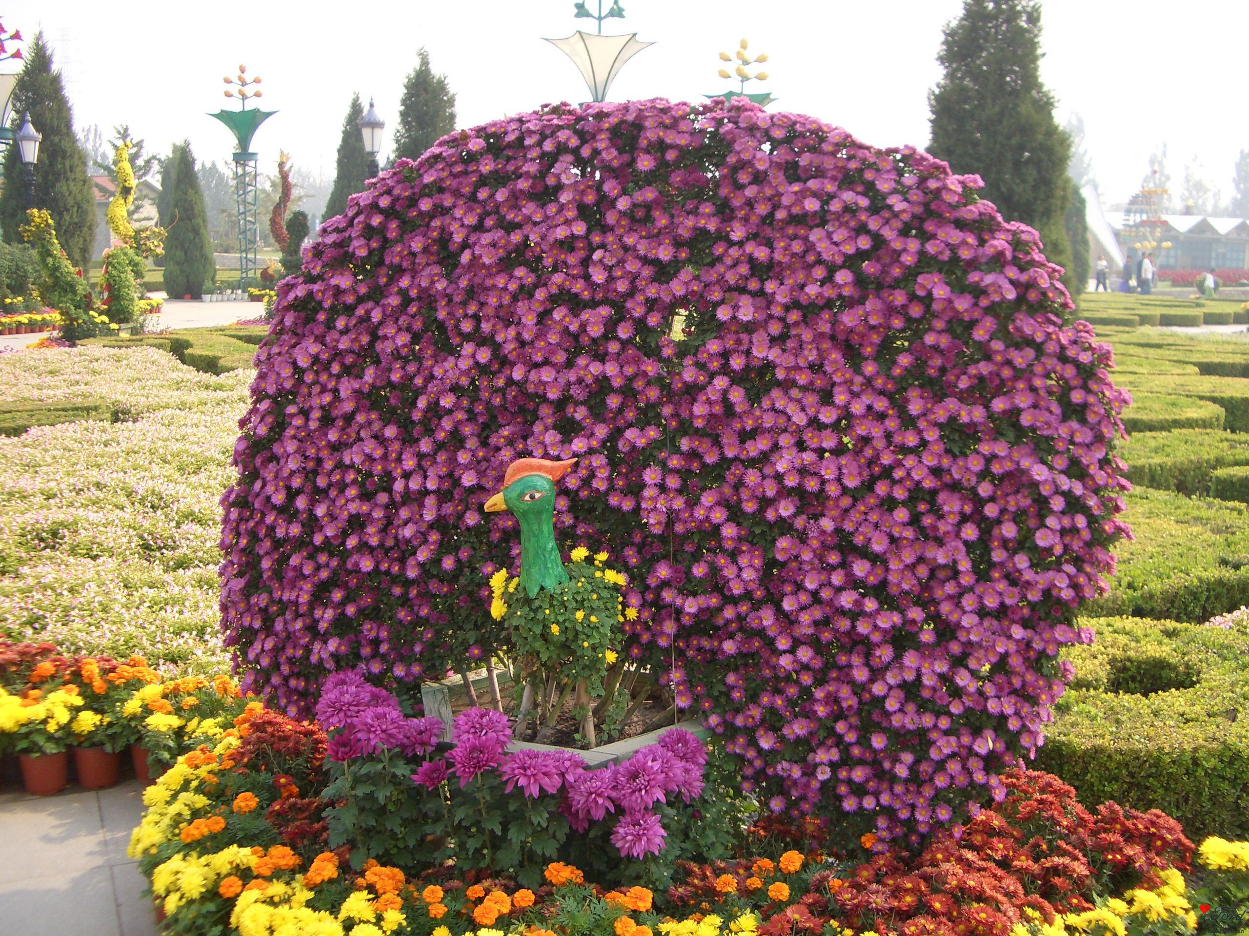 CIMG6196ȸ.JPG