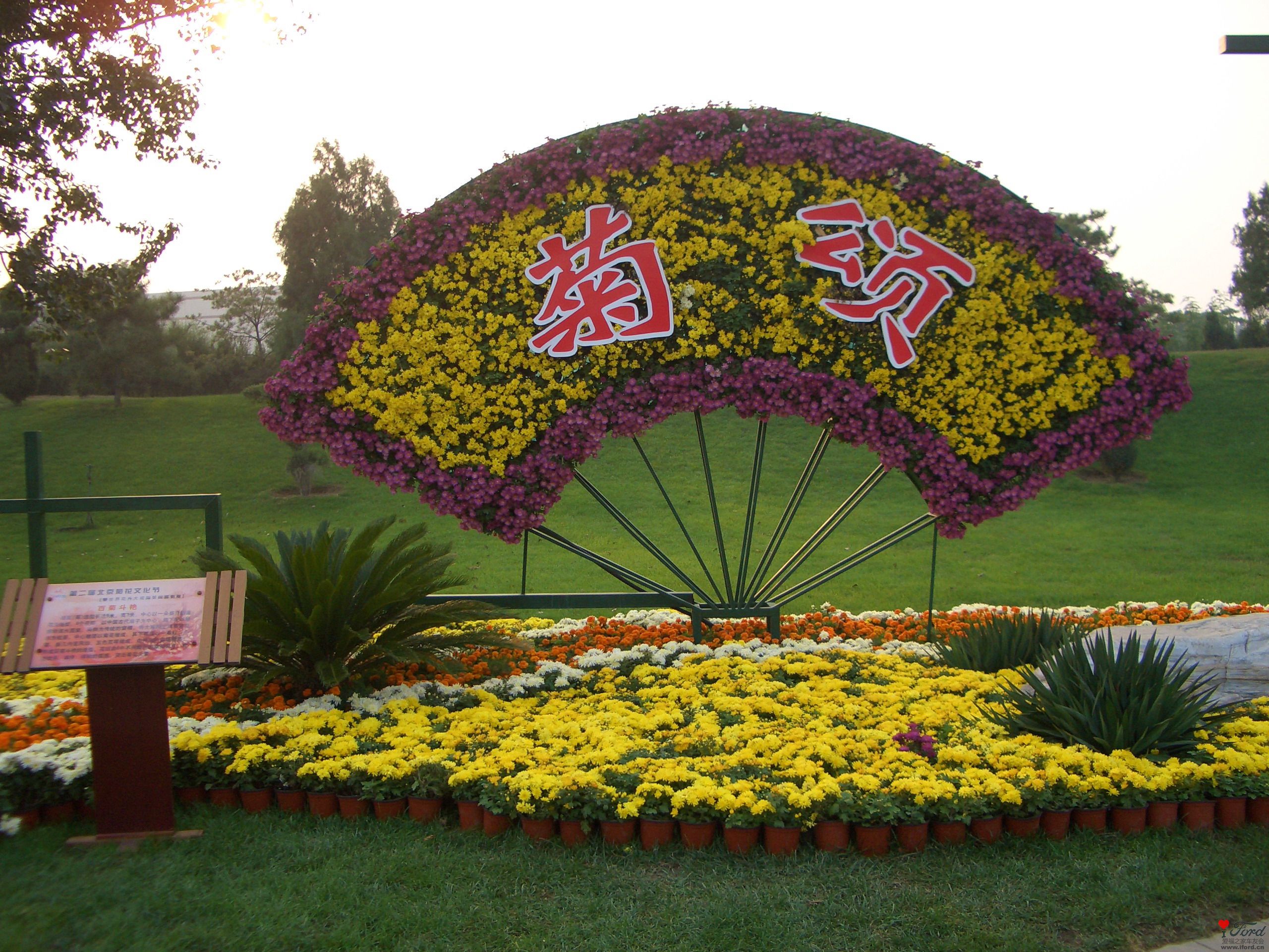 CIMG6441a.JPG