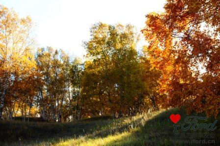 _DSC1190.jpg