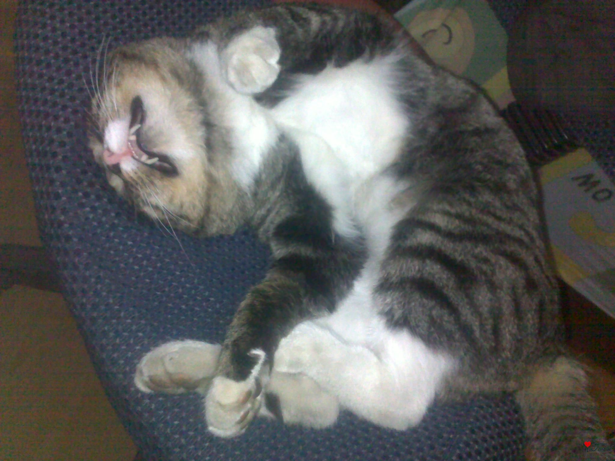 ��ÿ�ο�����˯������������������