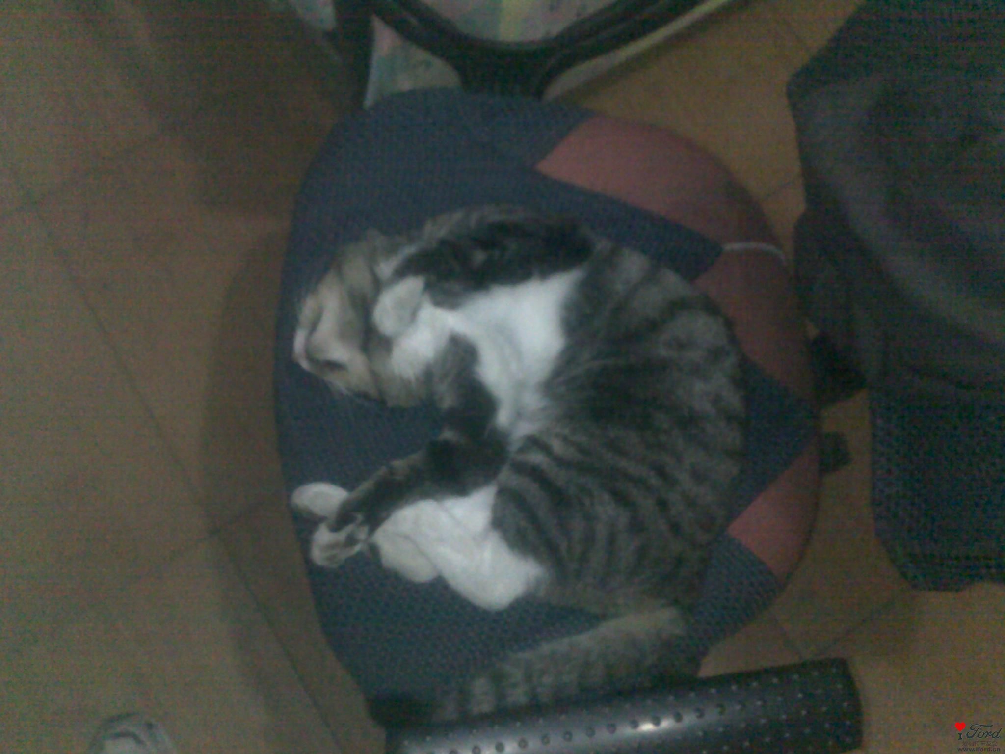 ��������ϲ�������������˯��