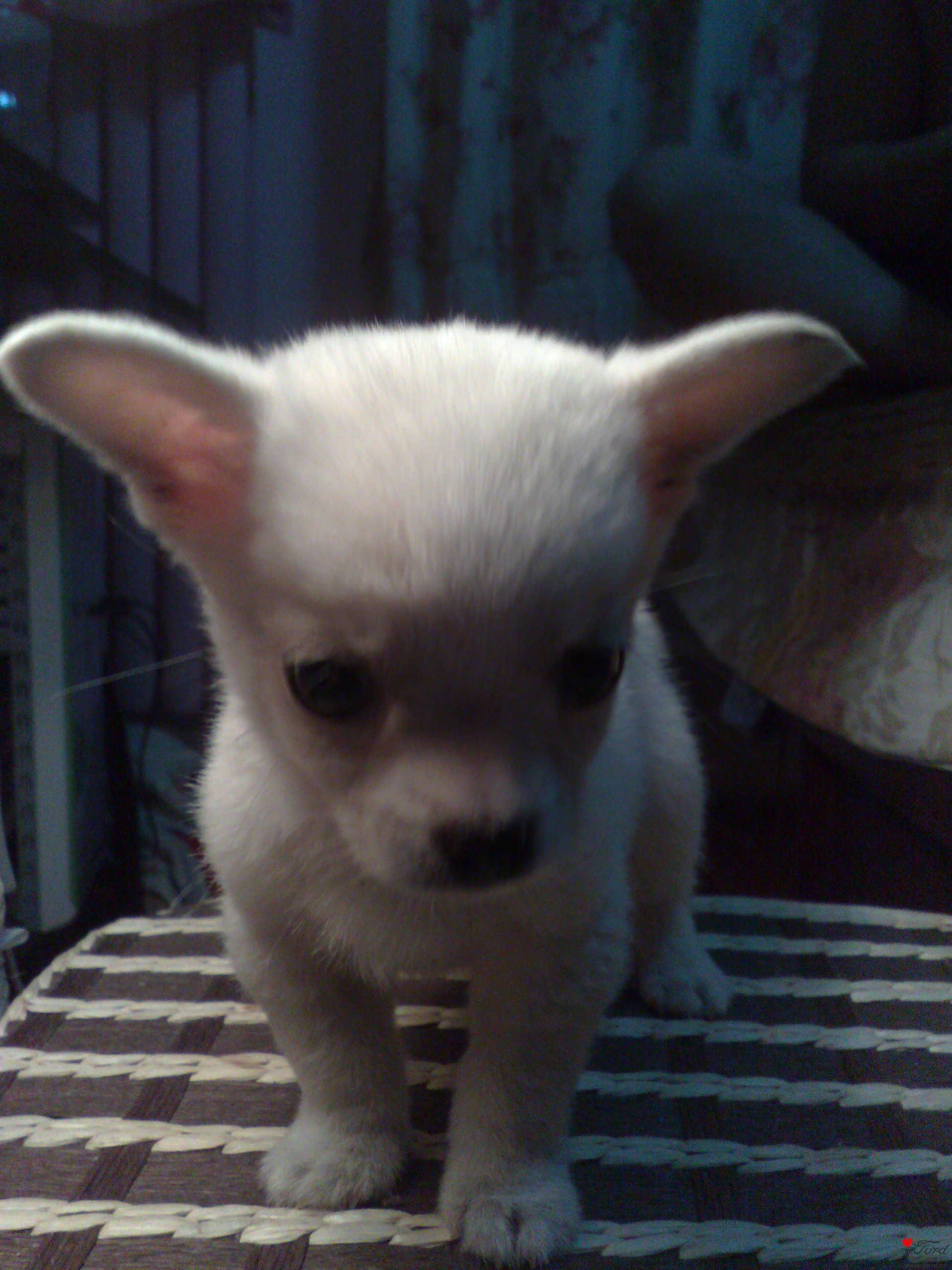 ������ʲô��