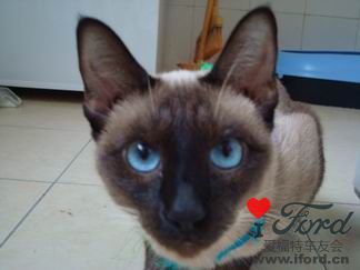 ˵���أ���ʲô��