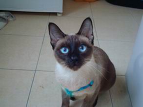 ��ʲô������