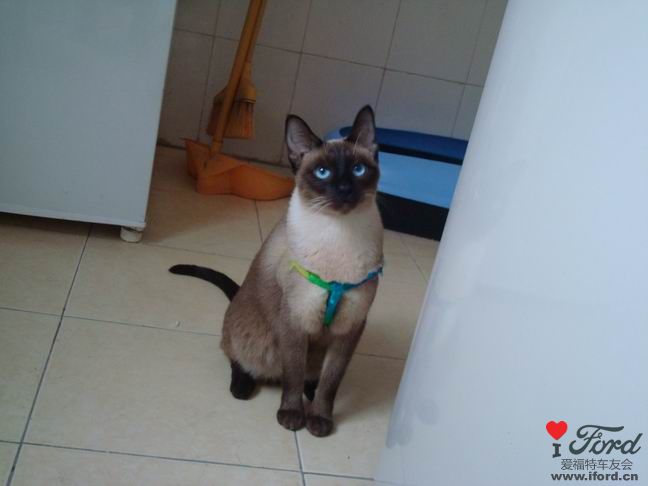 �е������