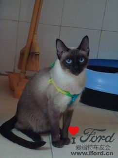 ��������˼��...