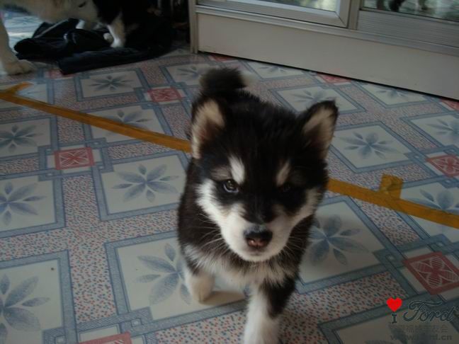 hi���ҽ�שͷ