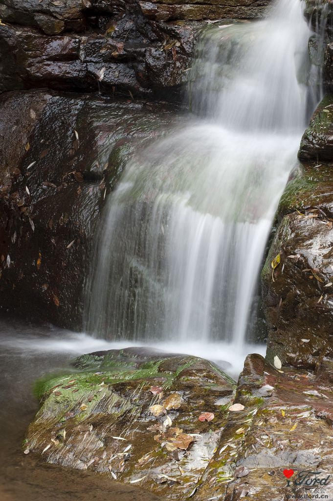 _DSC3041.jpg