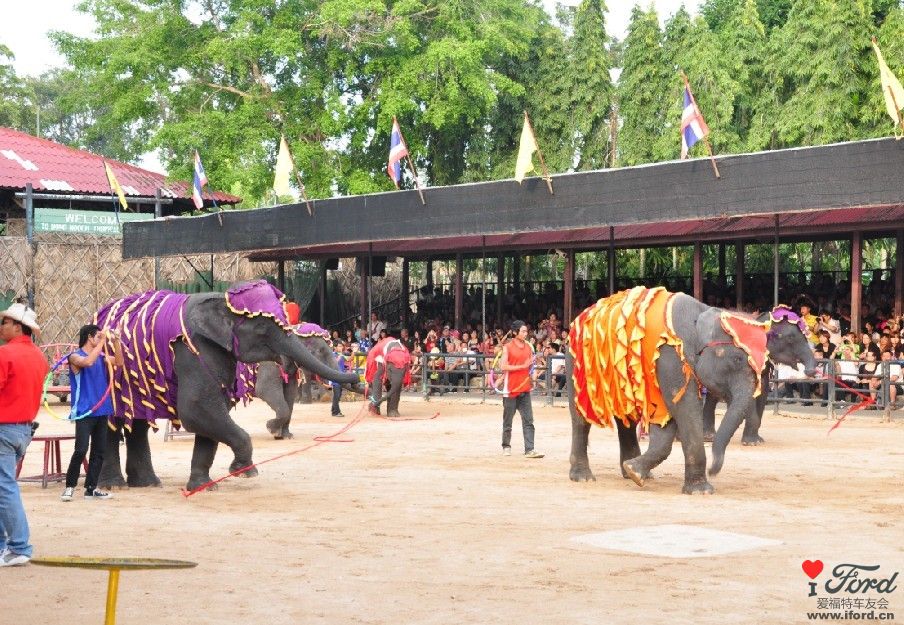175.jpg