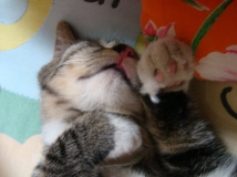 �Ҽ����� ��һ��