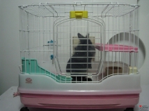 ���լ��~~ ♥��Ů♥~~