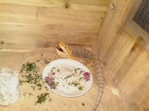 ������������ ���� �����о� ���϶����� ���Դ����