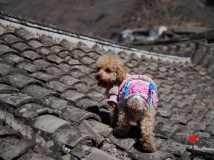 ������̸��-�����ҵ���ʹ