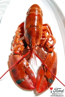 �տ�ͼƬ///�����Ի�֮����ʳ��2010.11.25