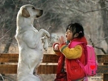 ��~����~�����룬�㶮��~