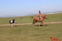 ��������ƬС����