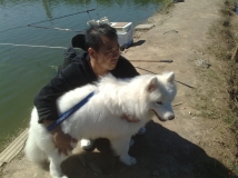 ���Ӻ���������ʳ��  ���� �����