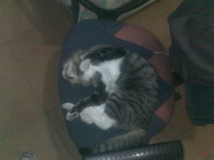 �Ҽ����� �ڶ���