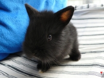 �x�y�z�{�|�}�~~��~�è~�}�|�{�z�y�x