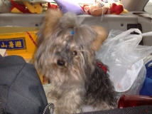 �Ӳ����ݵ�����