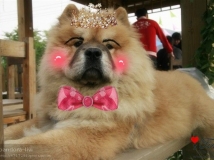 �ҼҴ󱦱�*����*������ ����һ��Ŷ