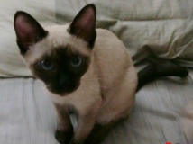 ��è~~����