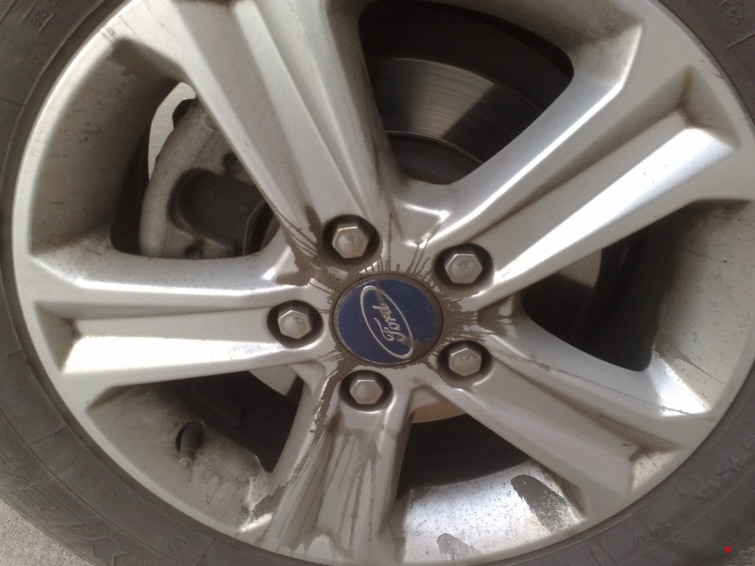 20110124033.jpg