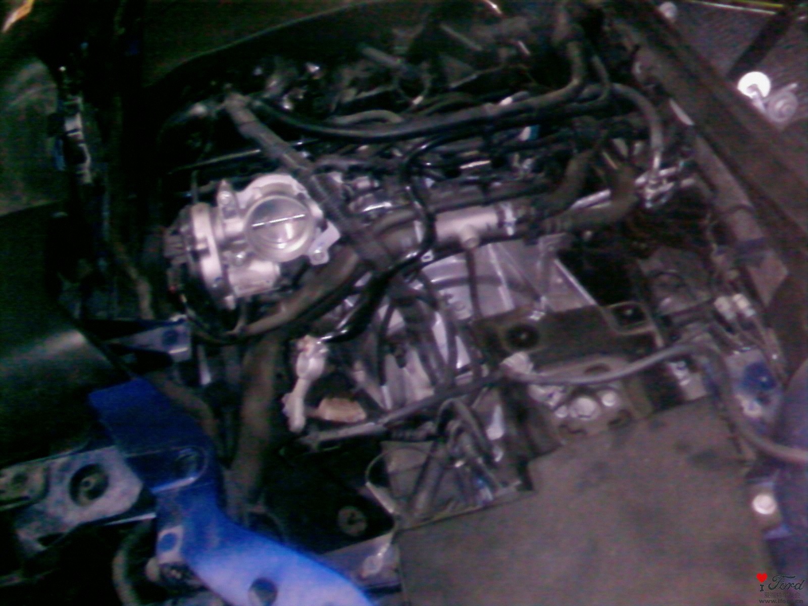 20110213_005.jpg