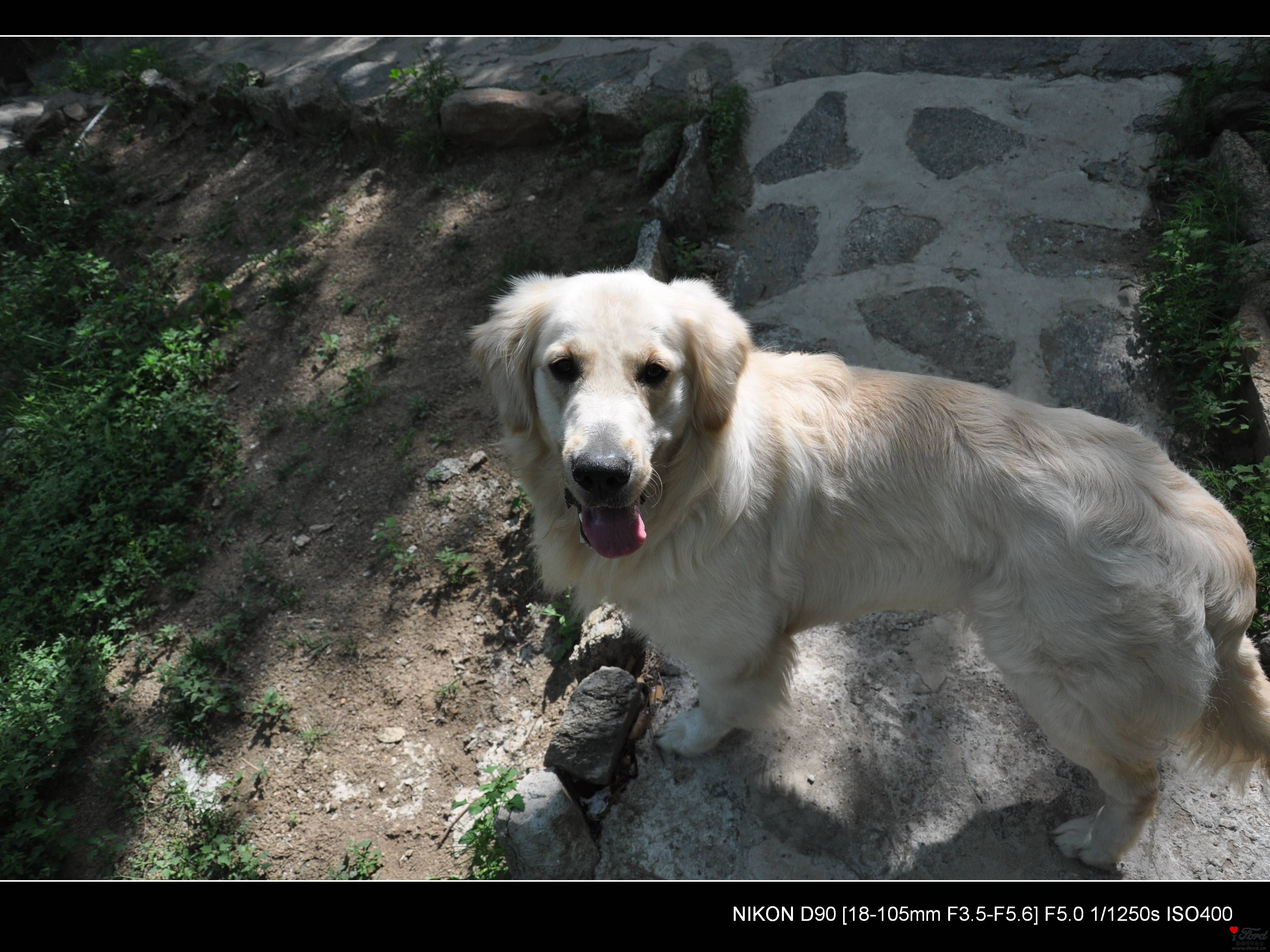 DSC_0677.jpg